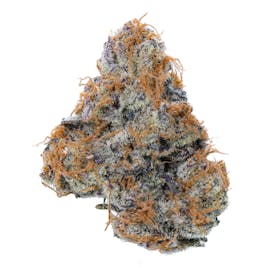 Purple Punch Flower