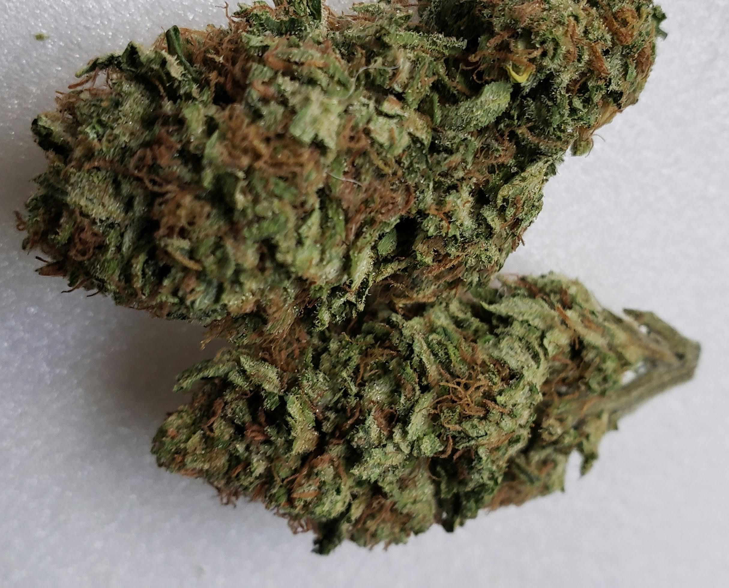 Greenthumb ***Top shelf Greenhouse ***ATF Weedmaps