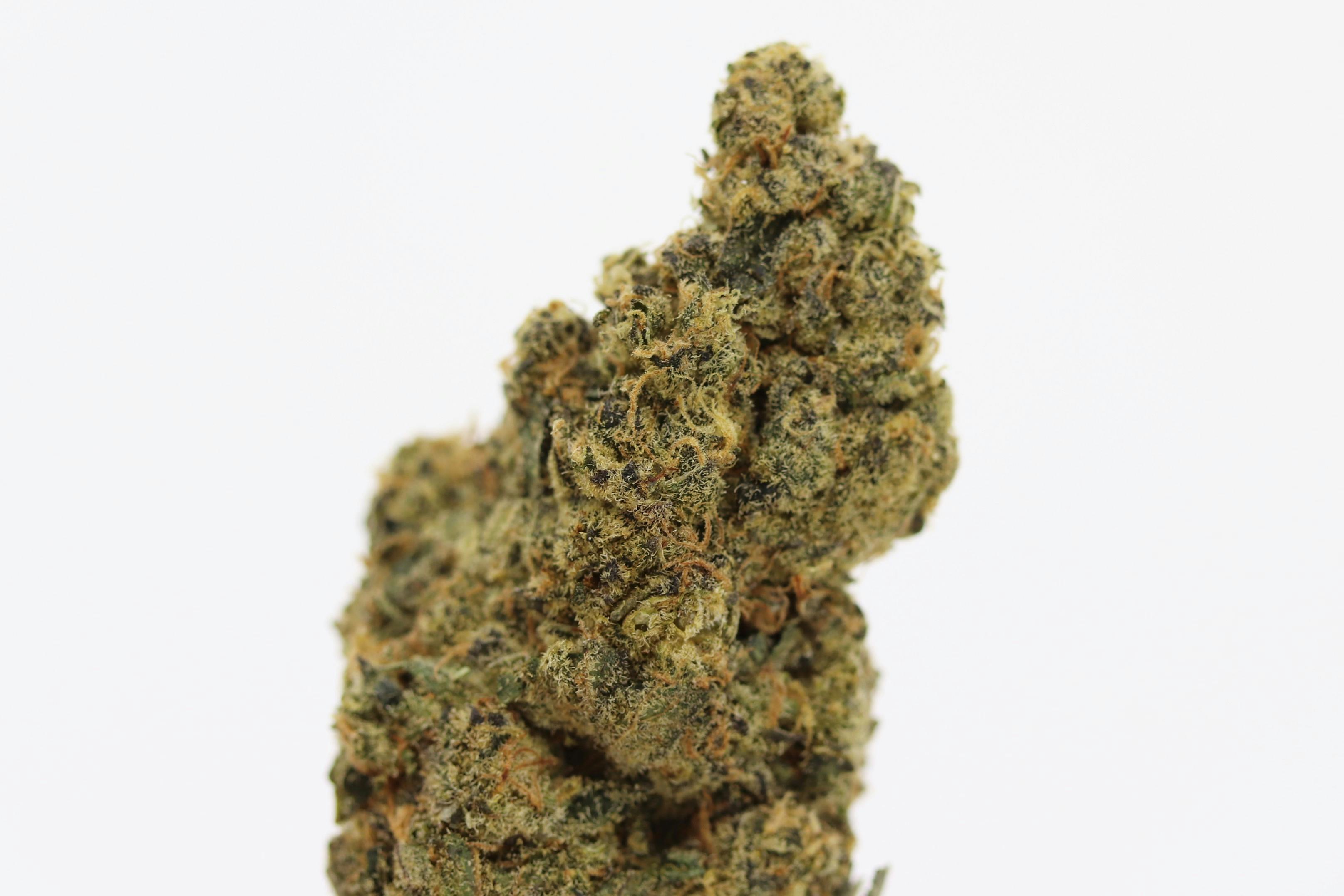 Elevation 207 Cookie Haze Weedmaps