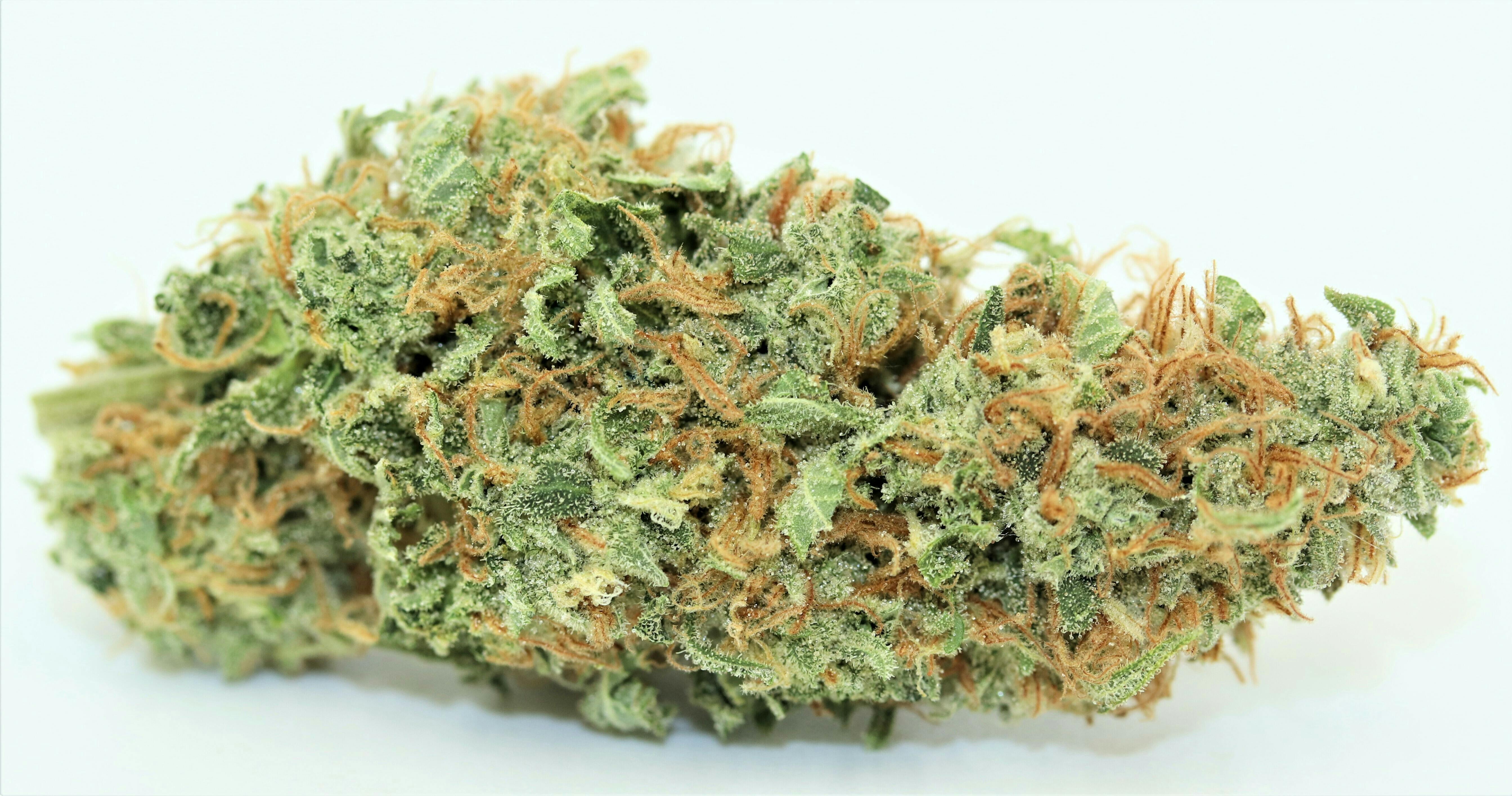 Early Lemon Berry Elevation 207