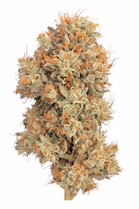Sour Banana Larry Flower