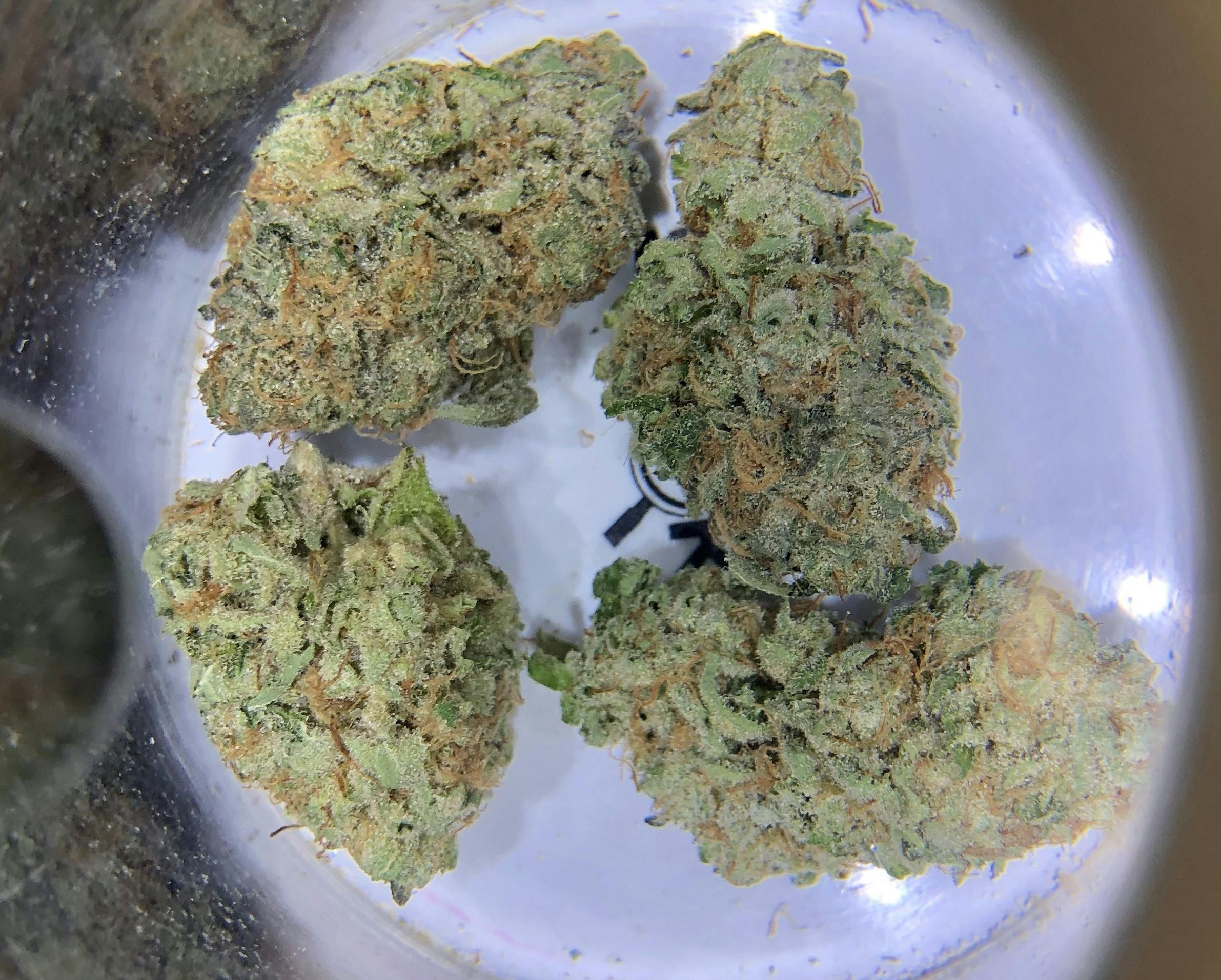 Watermelon Zkittlez - Simply Cannabis 207