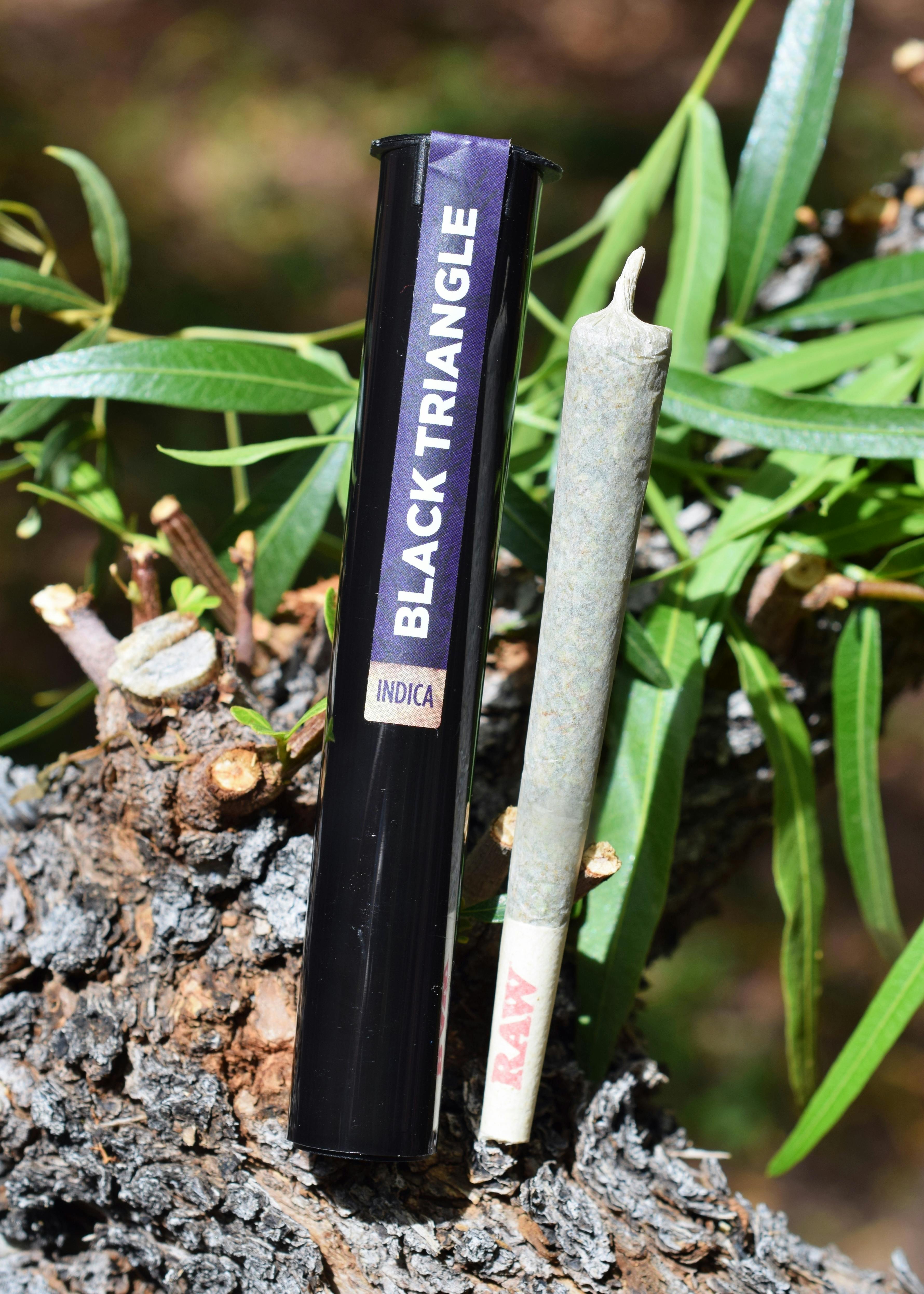 Black Triangle Pre-Roll