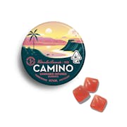 CAMINO | "Bliss" Watermelon Lemonade | 100MG Gummies 