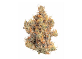 Wonka Barz Flower
