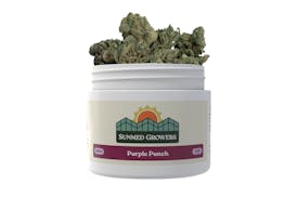Purple Punch Flower (3.5g)