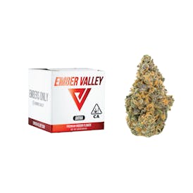 Berry Jane 3.5G