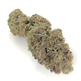 Mimosa #4