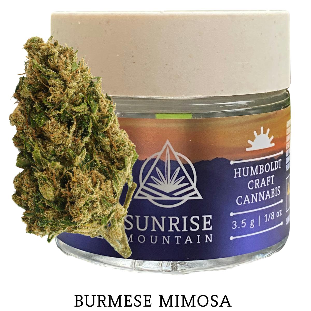 Burmese Mimosa: Burmese Mimosa Flower 3.5g