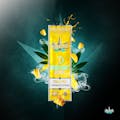 Presidential Moon Rock Blunt - Pineapple (1.5g)
