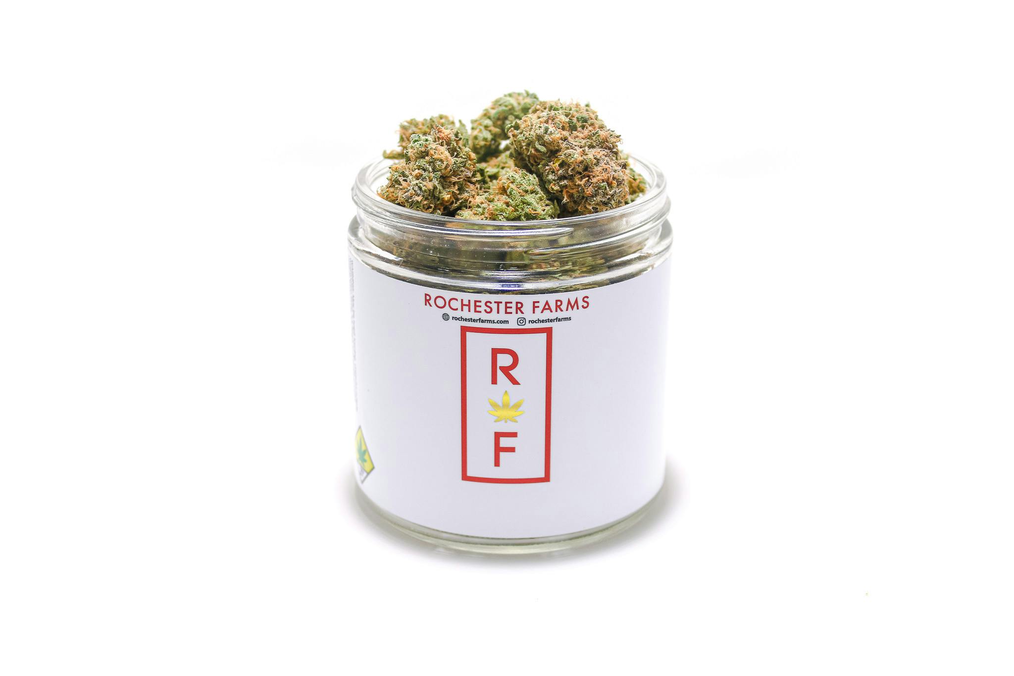 Purple Pineapple Express #4 at Green Life Cannabis