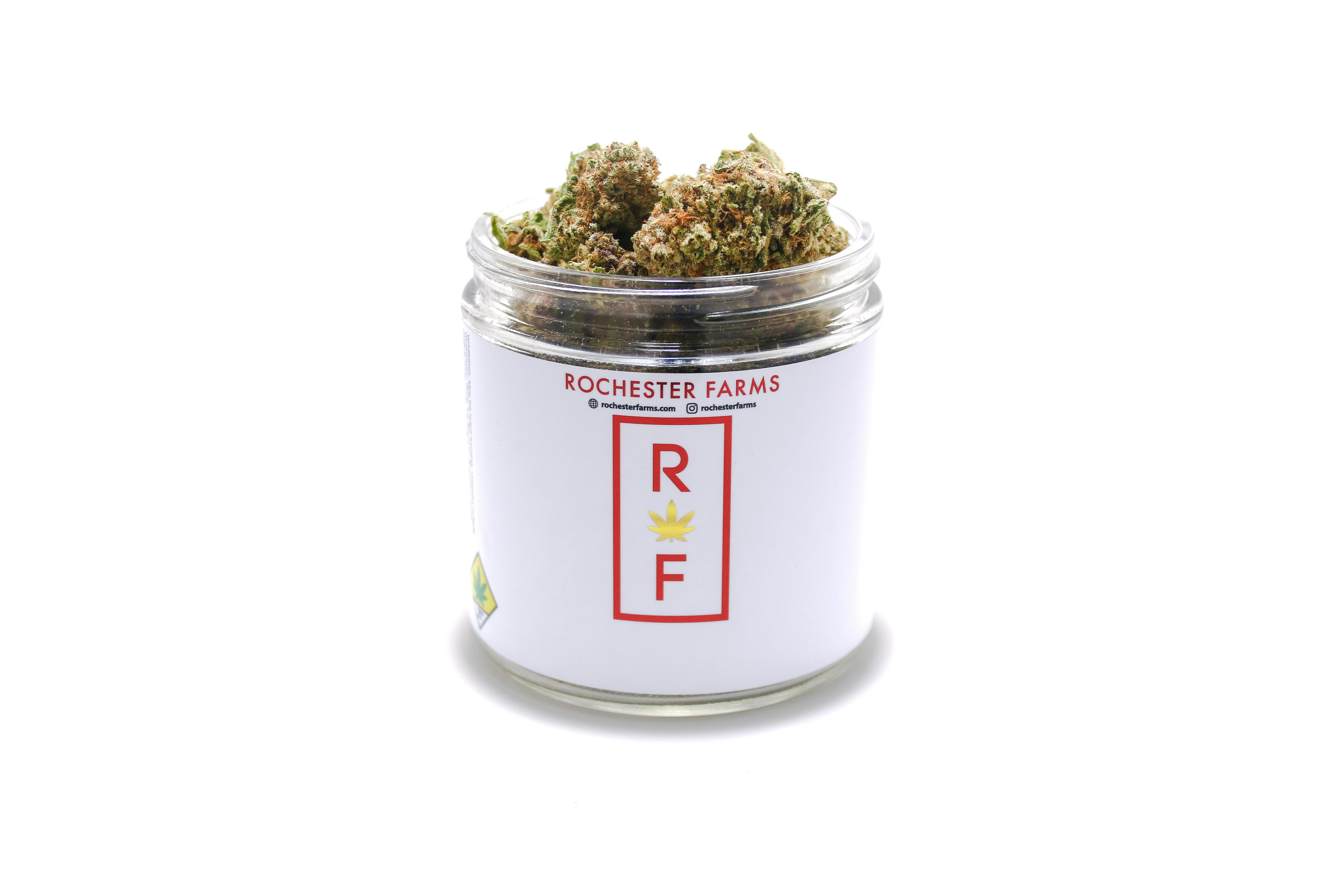 Pink LemonAid at Green Life Cannabis