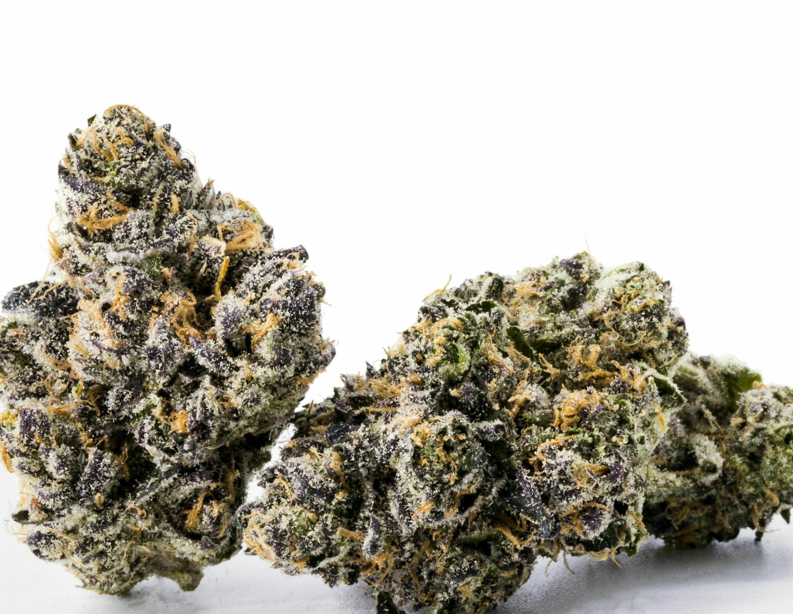 Sunset Sherbet