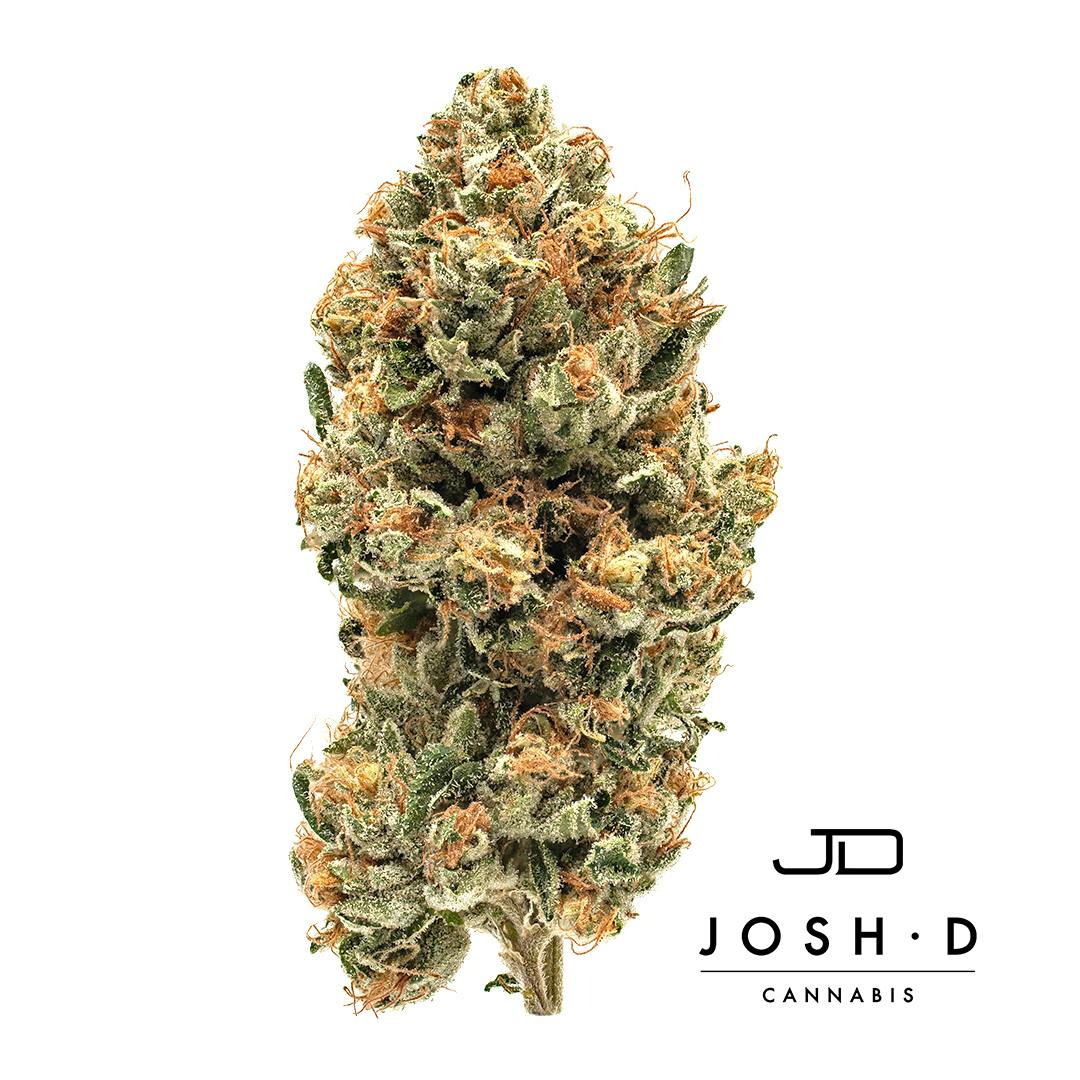 Ghost OG