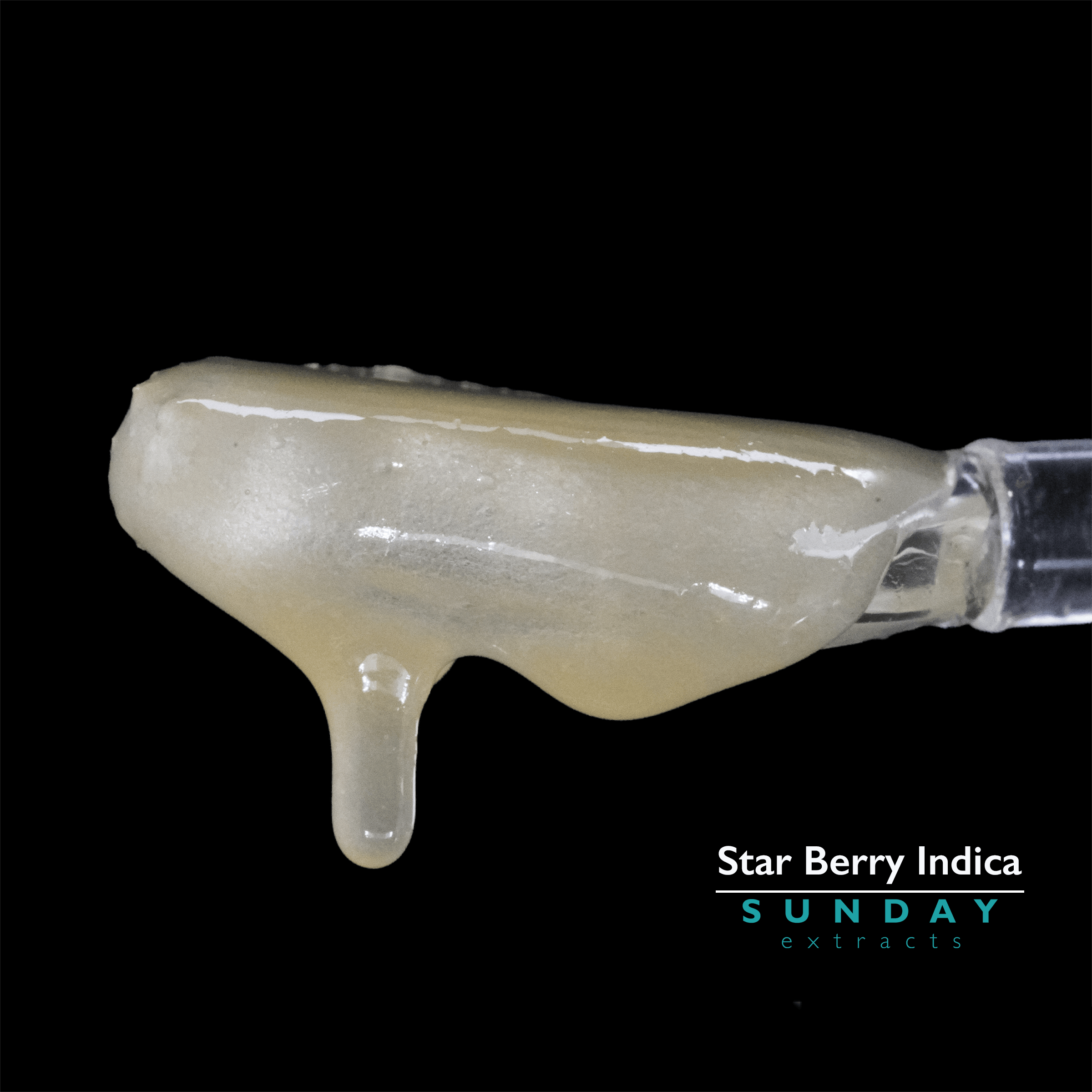 1g Concentrate Star Berry Indica by Sunday Extracts