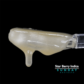 1g Concentrate Star Berry Indica