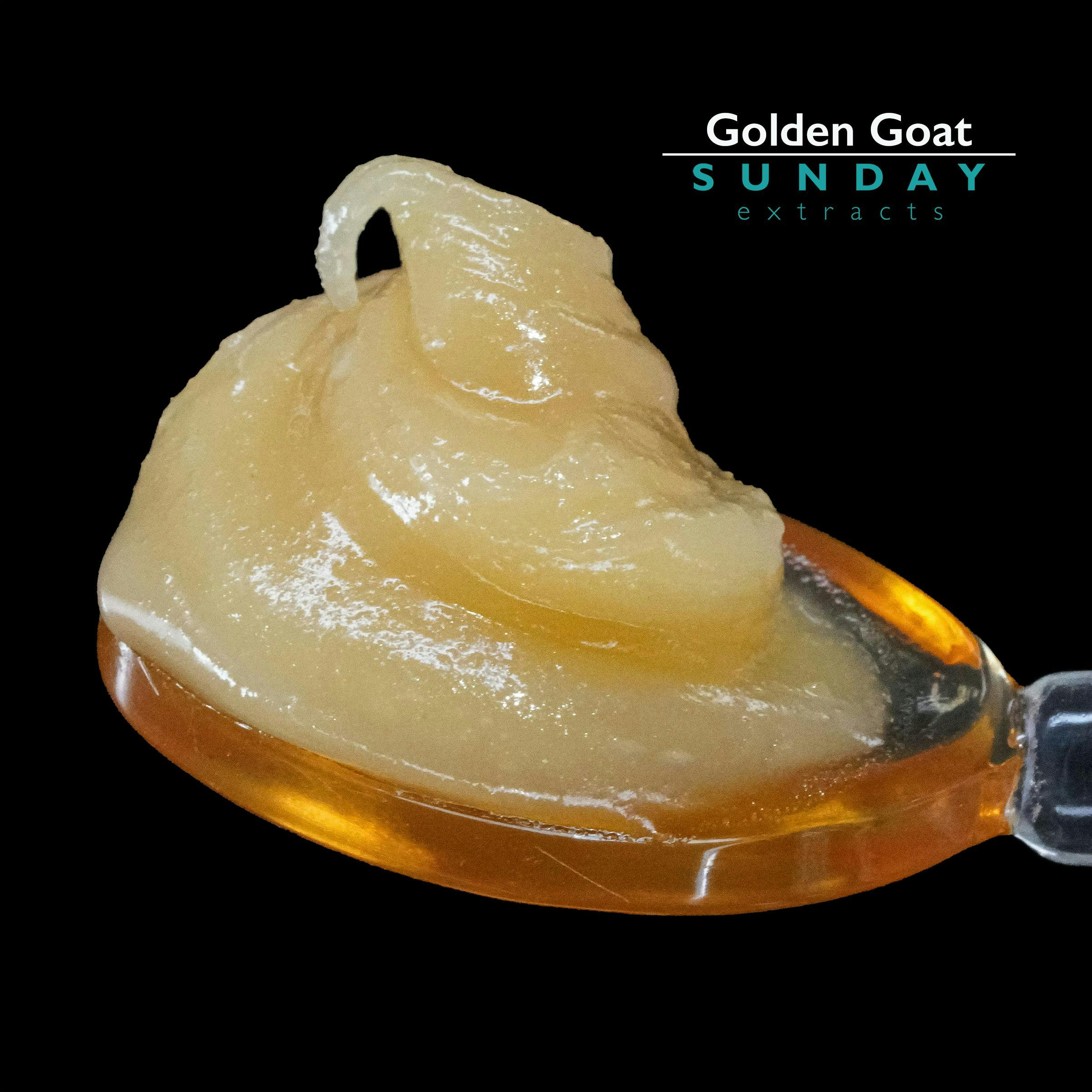 Sunday Extracts: Golden Goat