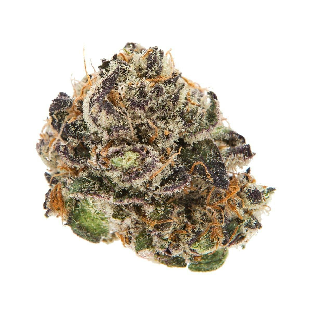 PEANUT BUTTER BREATH gLeaf