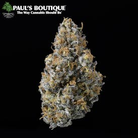 Thai x East Coast Sour Diesel