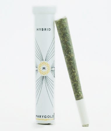 Hybrid | Joint | 1.1g