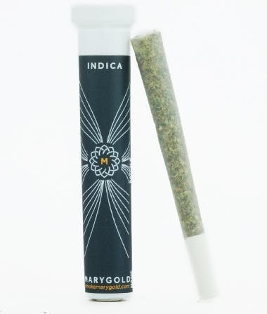 Indica Joint 1.1g