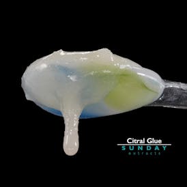 1g Concentrate Cured Resin - Citral Glue