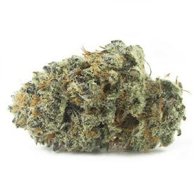 JELLY BREATH