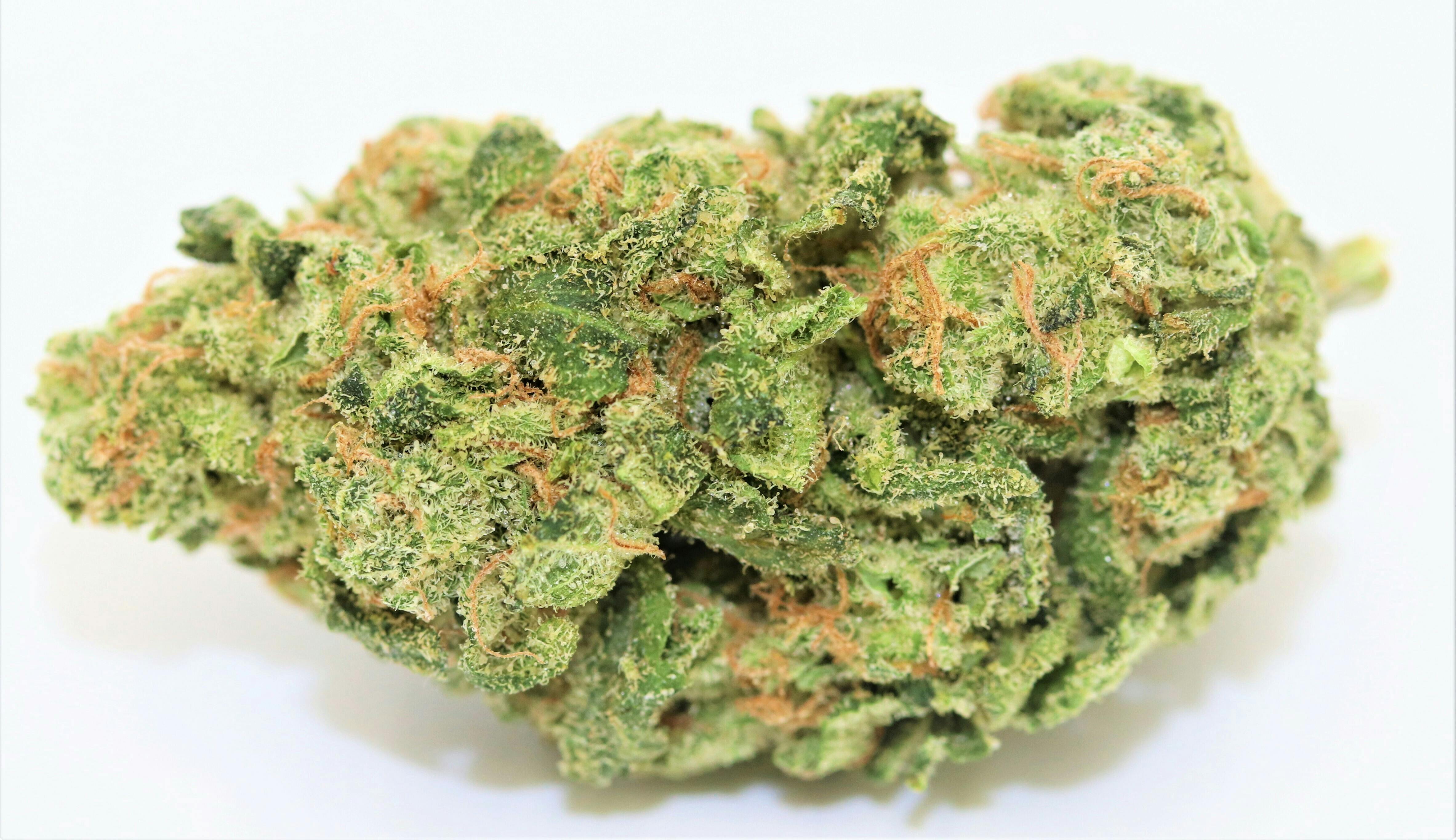Blue Haze - Elevation 207