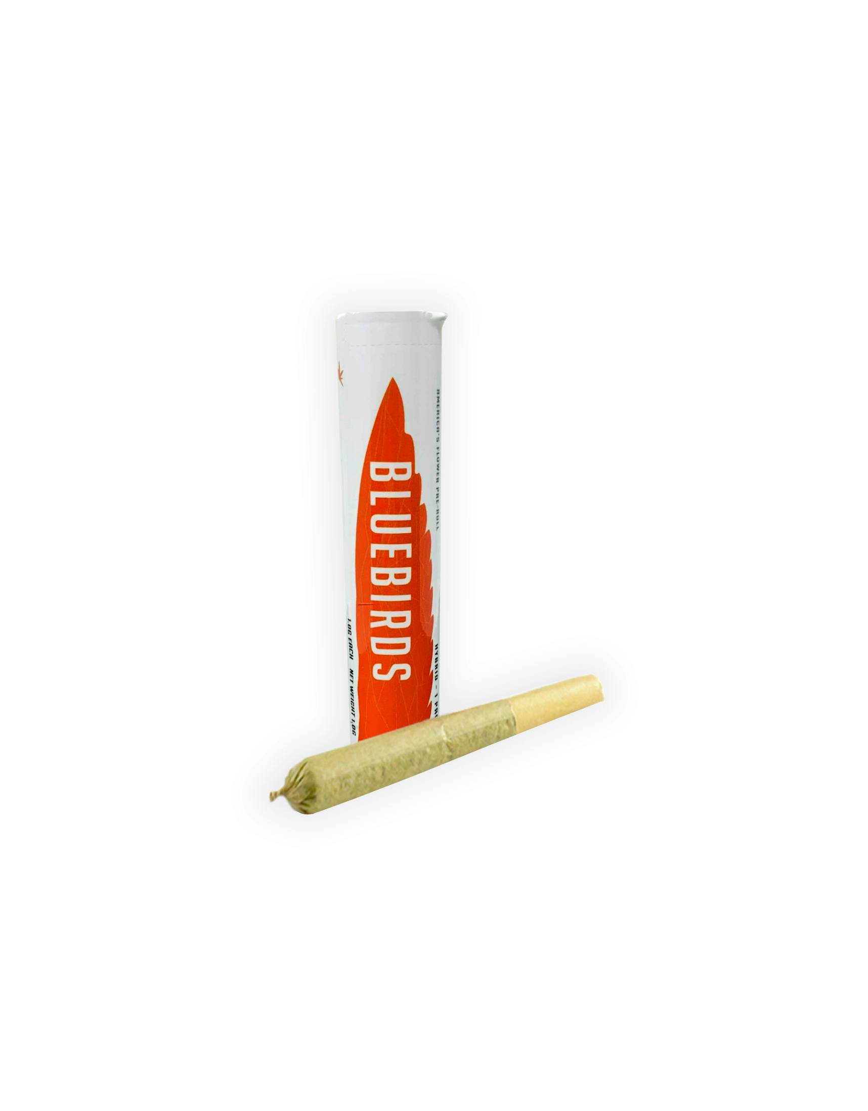 Member Berry Preroll