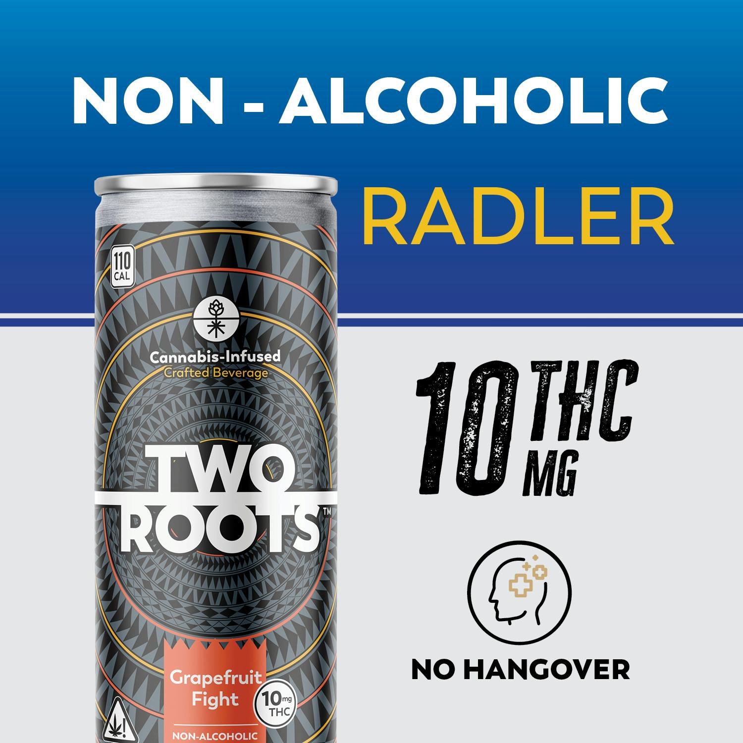 Two Roots "Grapefruit Fight" Radler – 10mg THC at Silver Sage Wellness