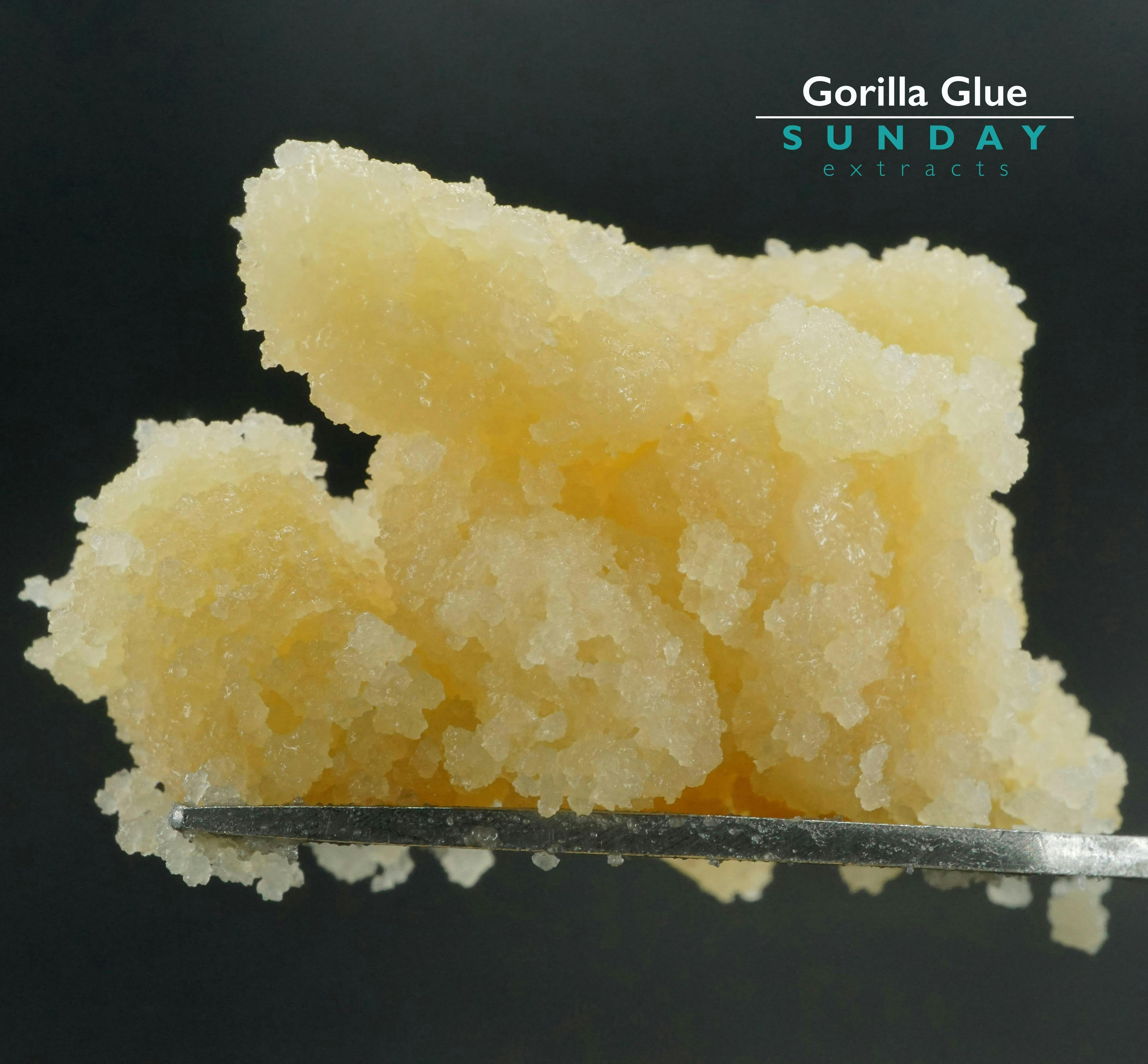 1g Concentrate Cured Resin - Gorilla Glue