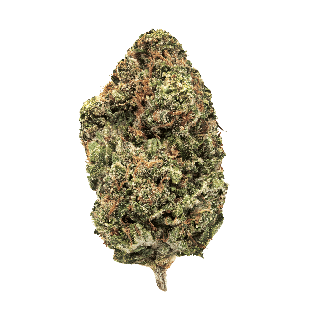 JACK HAZE