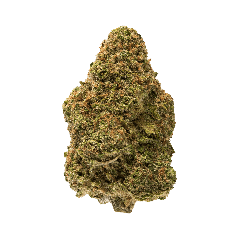WHITE WIDOW