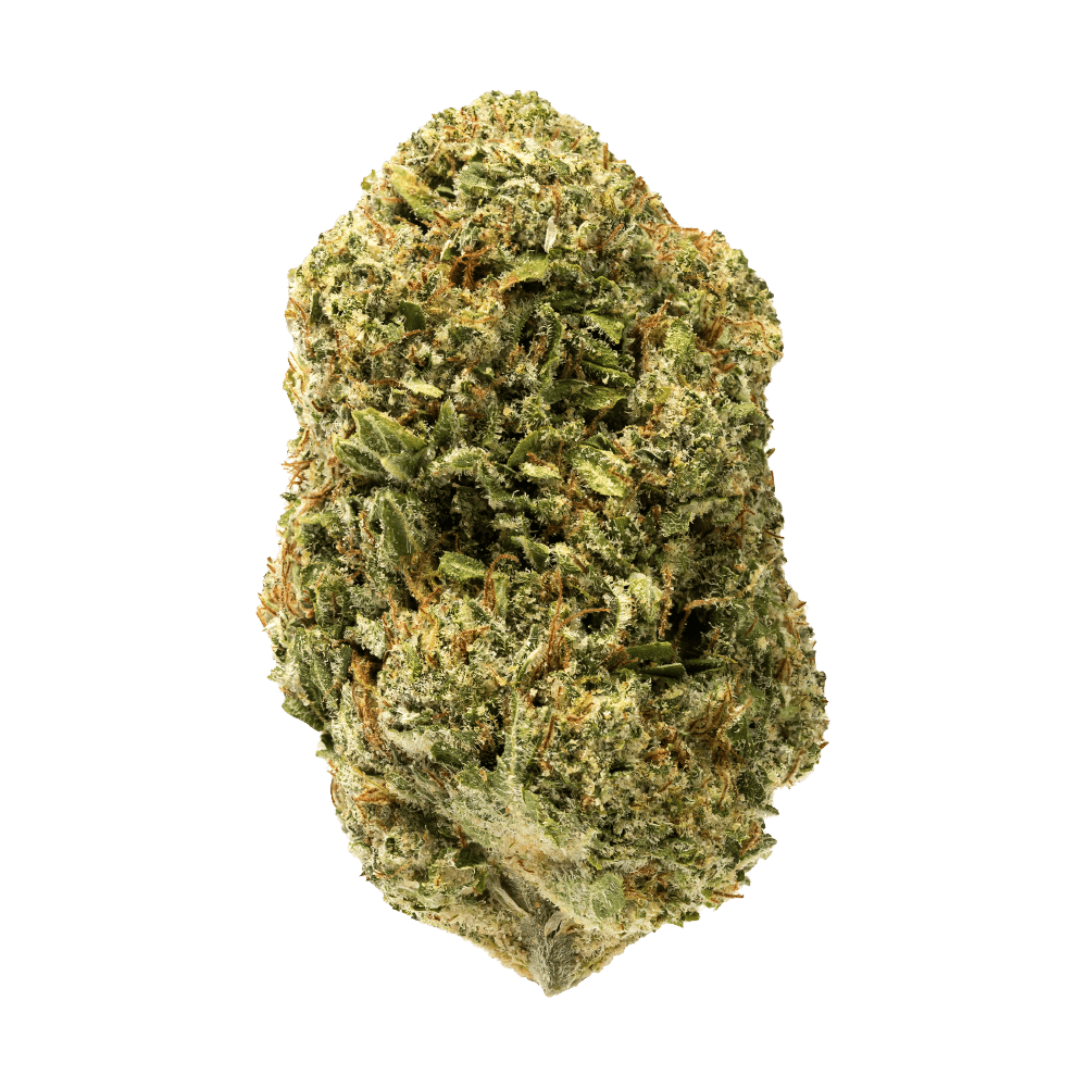 SENSI STAR