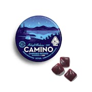 CAMINO | "Sleep" Midnight Blueberry | 100MG Gummies 