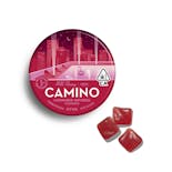 Camino Wild Cherry "Excite" Gummies 100mg