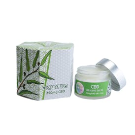 250mg CBD Eucalyptus Healing Salve