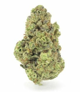 GMO Cookies