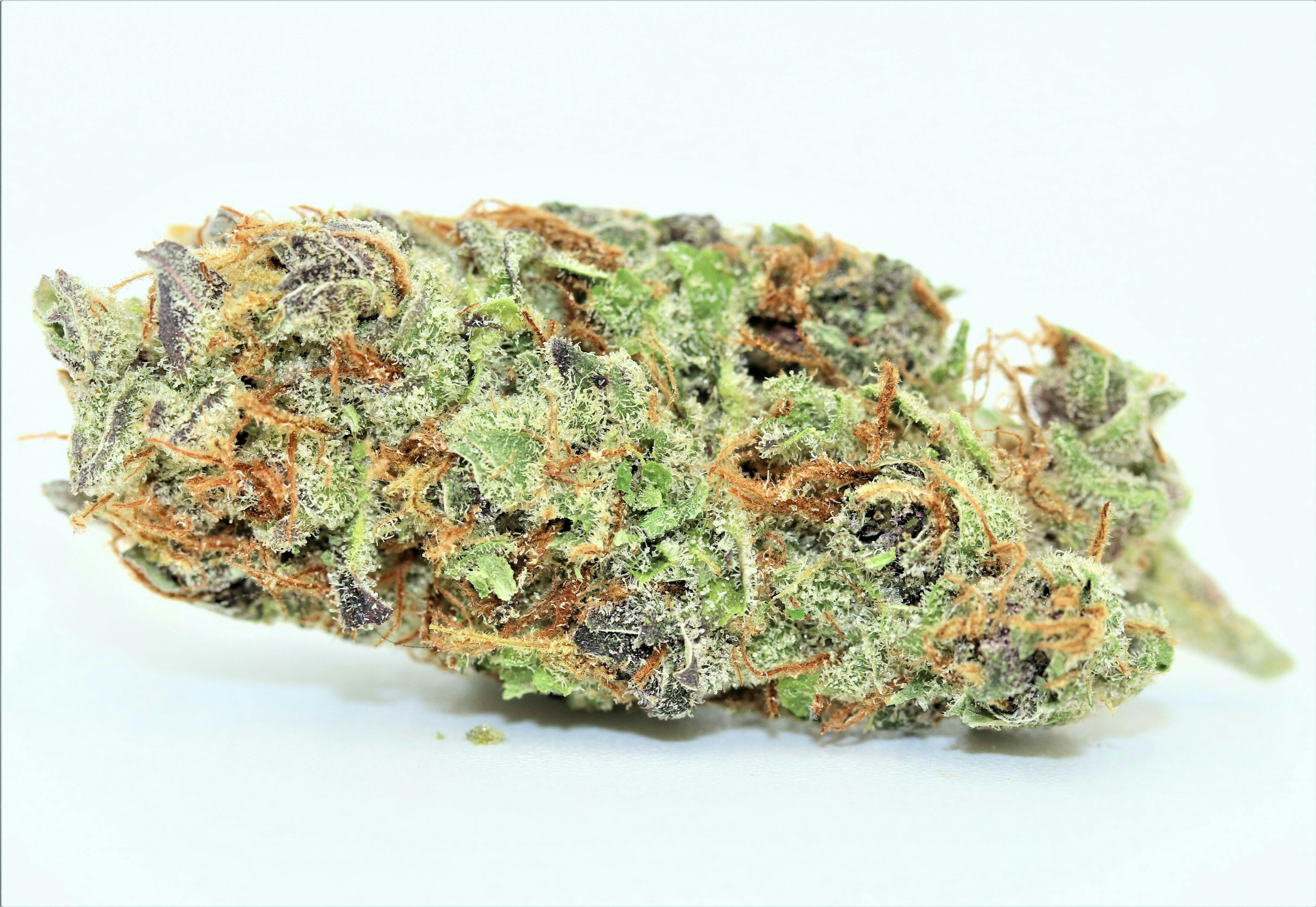 Forbidden Zkittlez X - Elevation 207