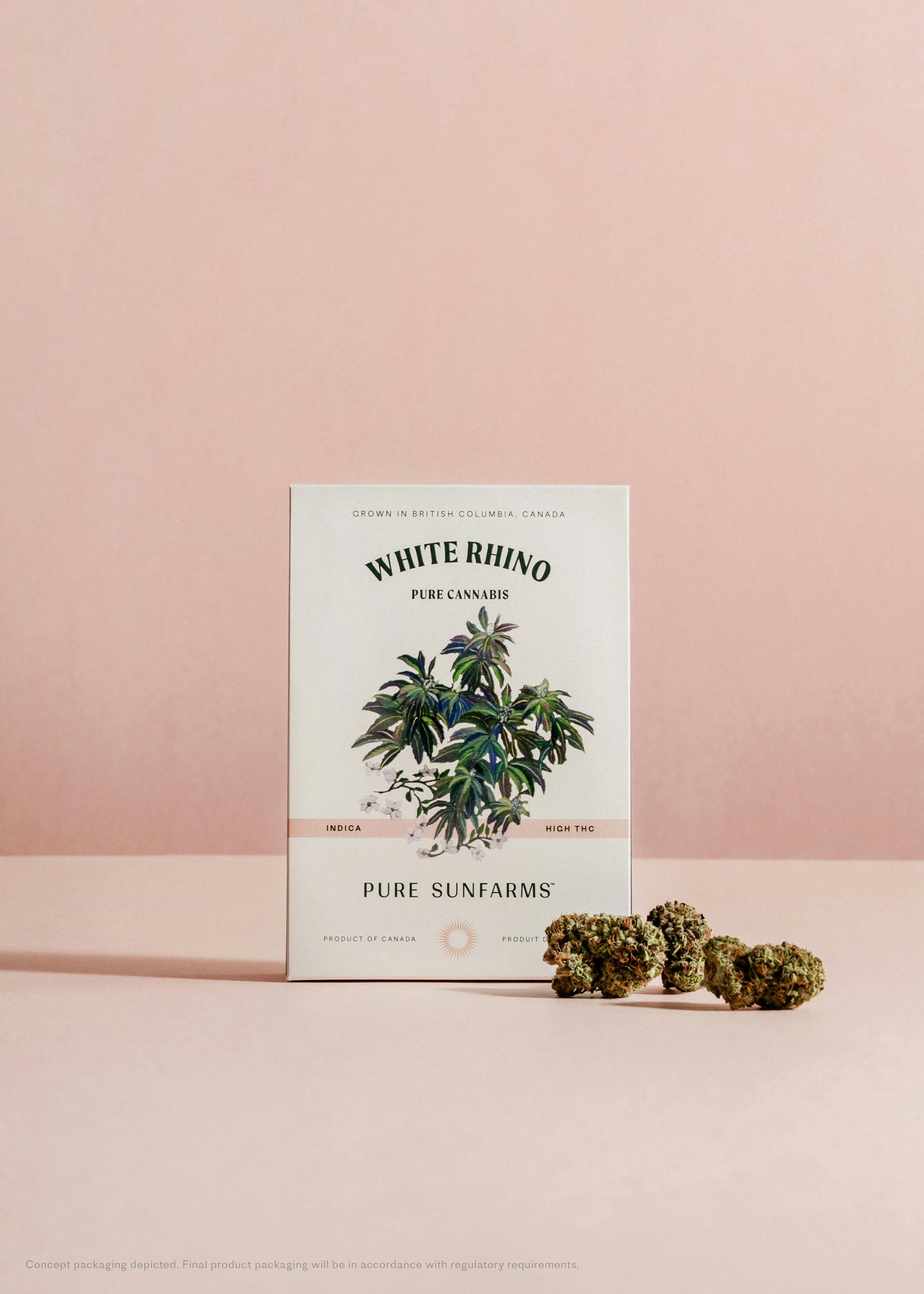 White Rhino