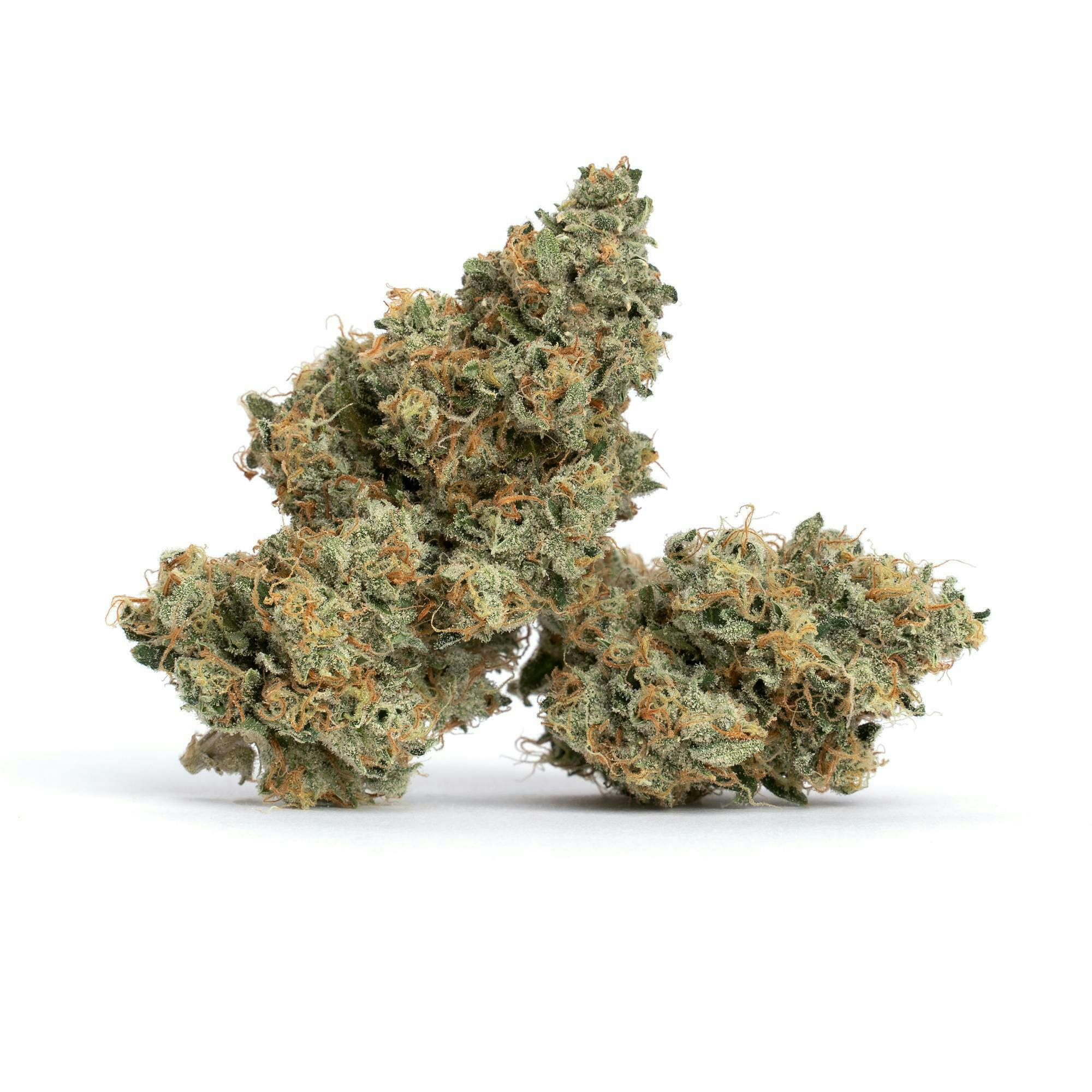 Flower - Devil's Toast 60/40 Sativa Dominant by Zero Gravity Cannabis