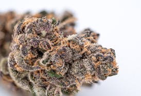 Fruit Punch Flower