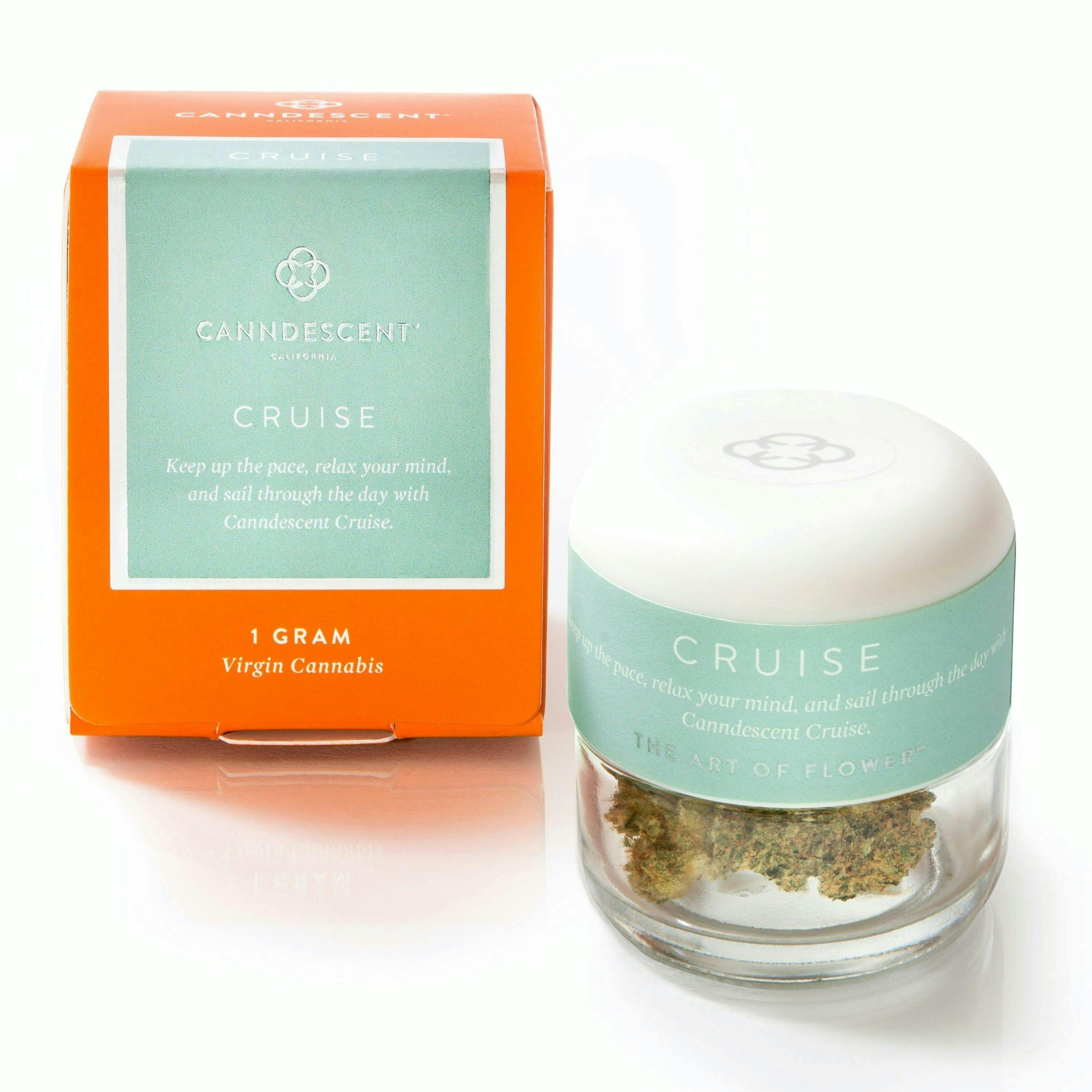 Cruise Ice Cream Cake Big