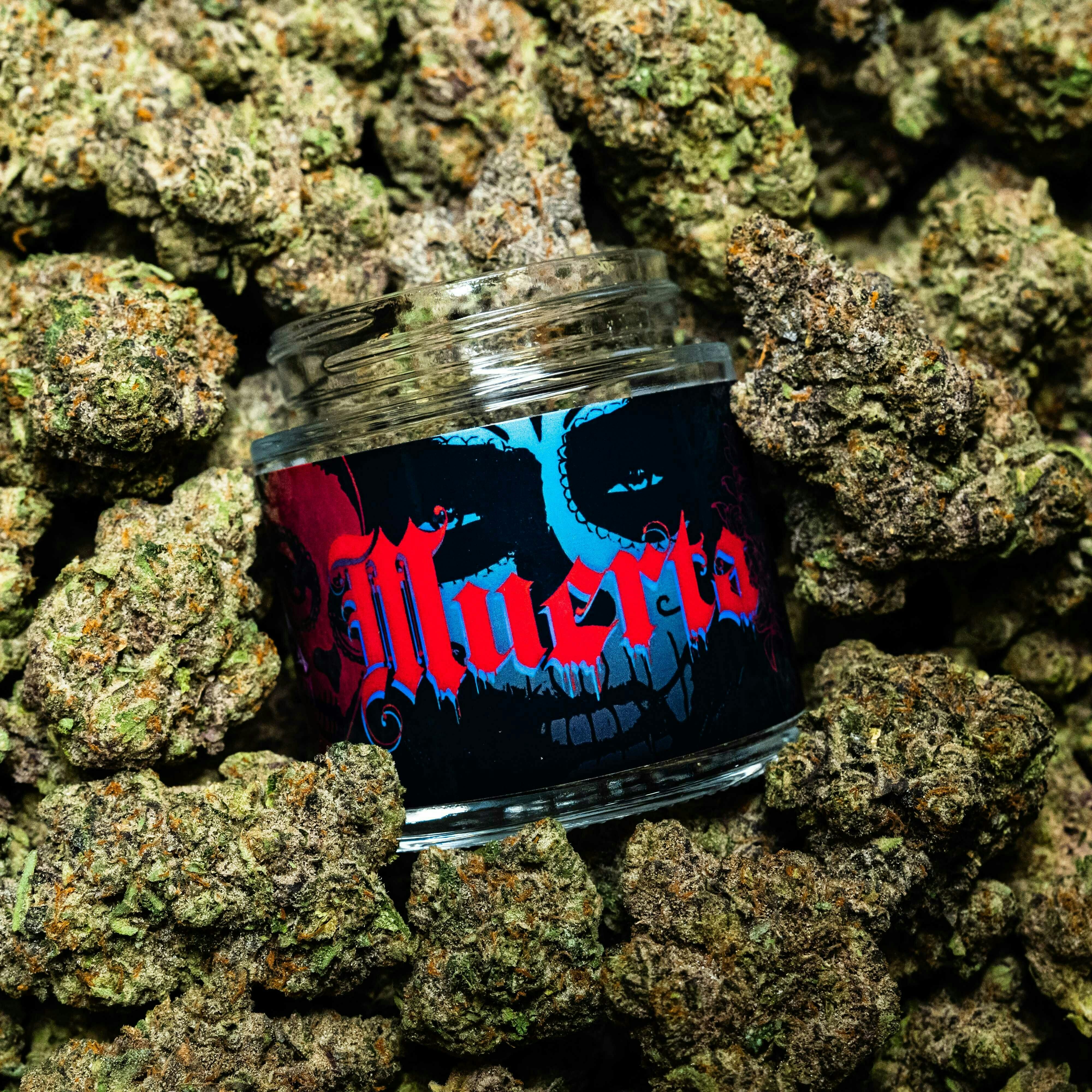 "MUERTA"