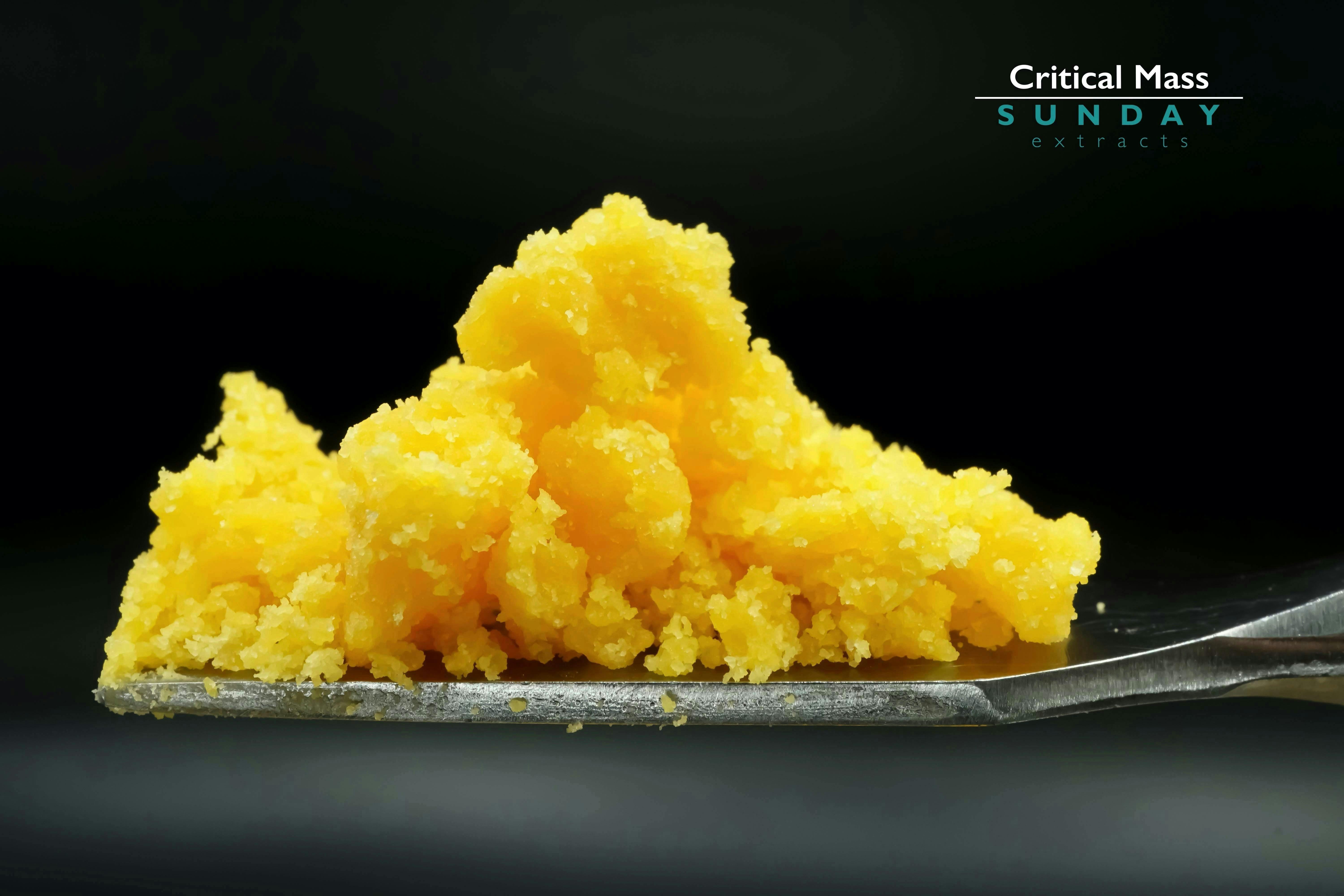 1g Concentrate Cured Resin - Critical Mass