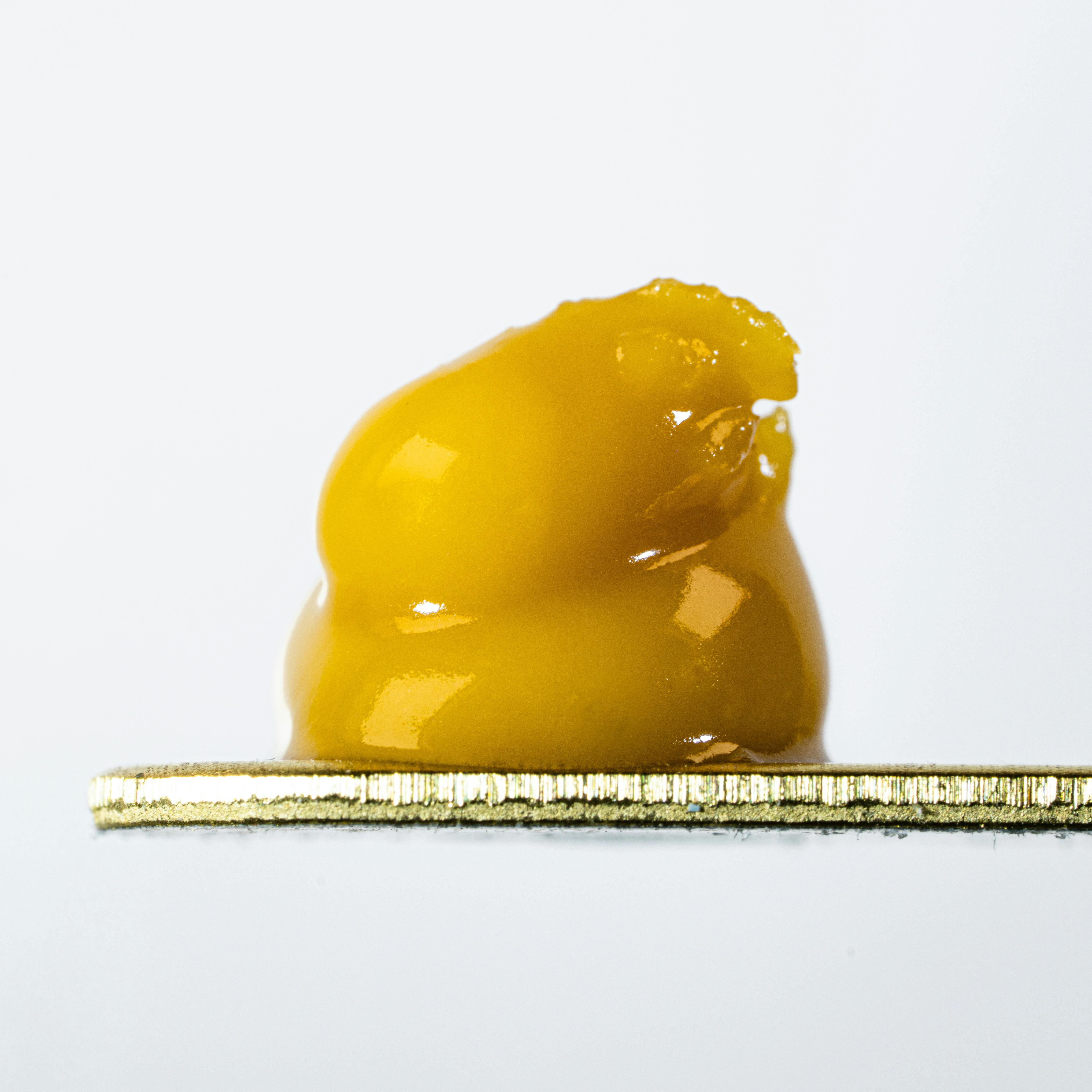 Glue Live Budder - 2g Bucket - Natty Rems