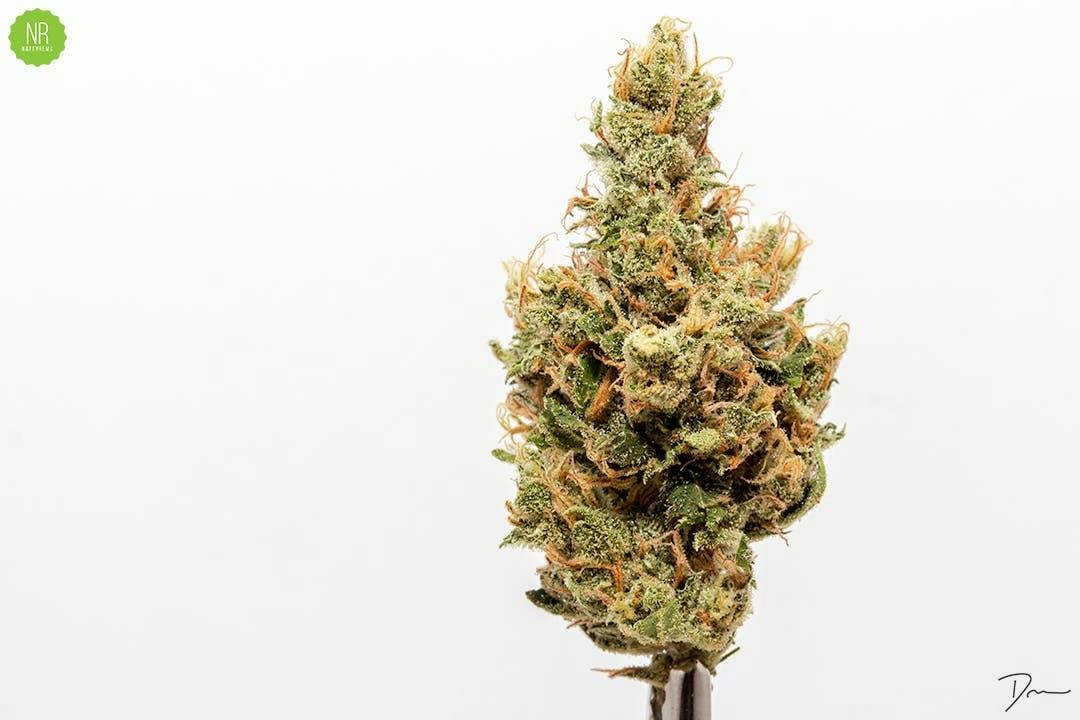 Moonshine Haze Flower - Natty Rems