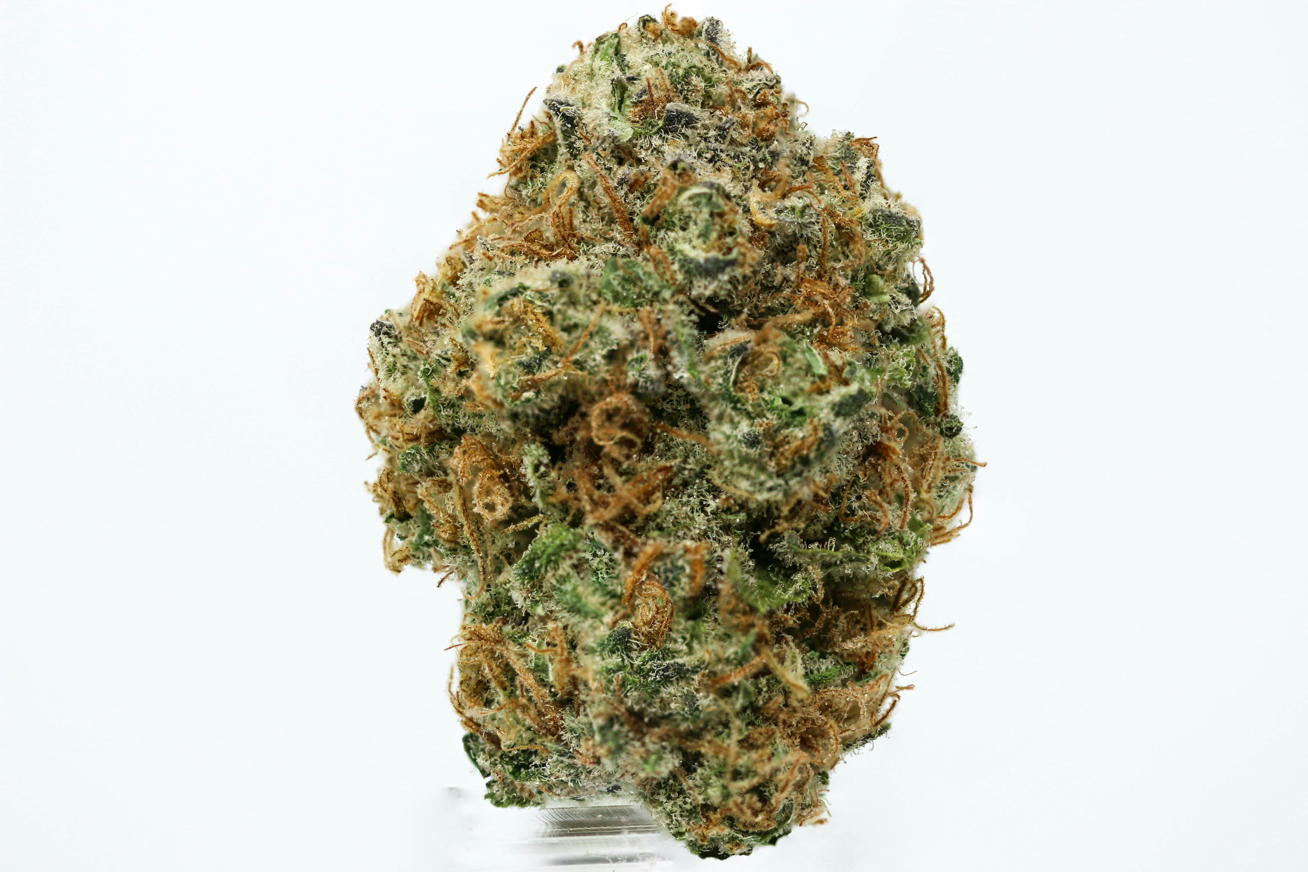 Strawberry Cough Flower