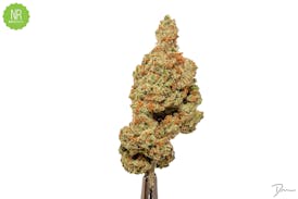 Super Lemon Haze Flower