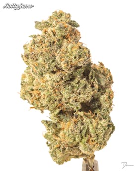 Sundae Driver Flower